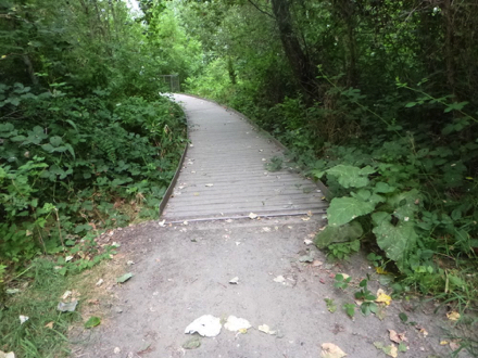 Transition from natural surface trail to boardwalk of the bird blind may have a lip